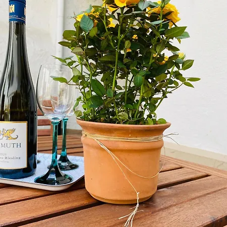 Apartamento Cuvée Magnum